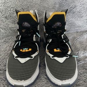 LeBron, James, basketball shoes